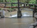 Tn dsc 0617